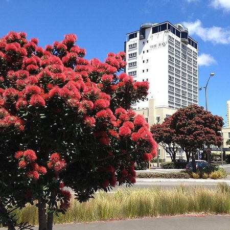 Bay Plaza Hotel Wellington Zewnętrze zdjęcie