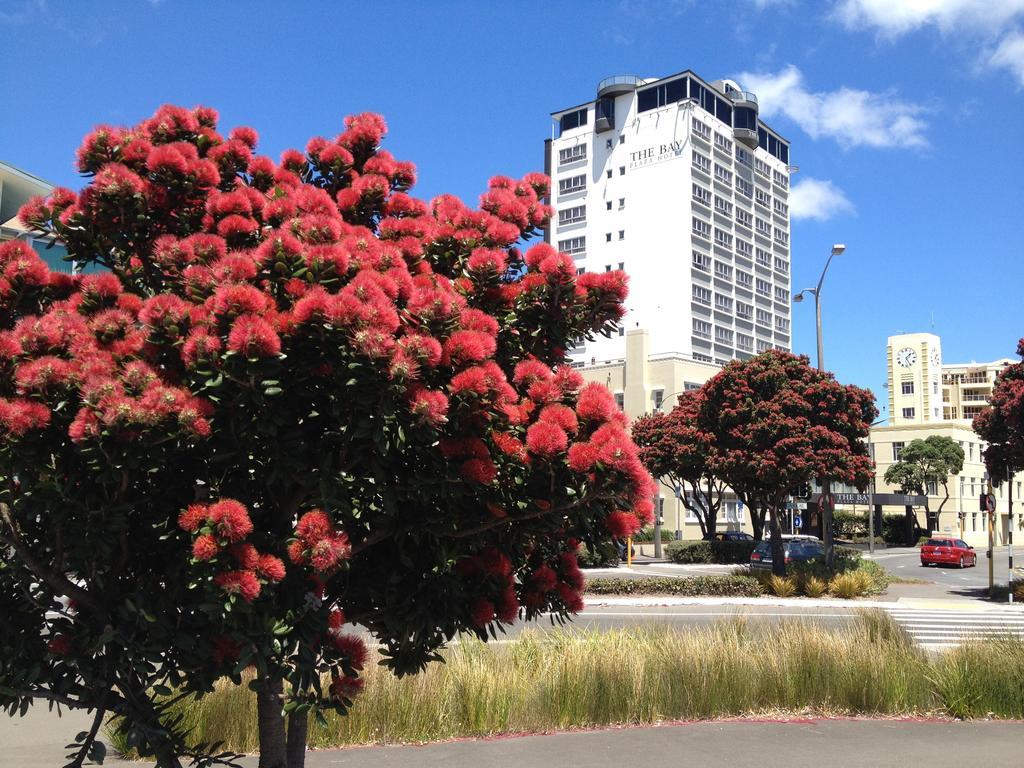 Bay Plaza Hotel Wellington Zewnętrze zdjęcie